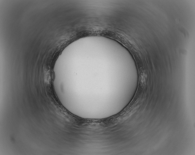 X0000111511204200908041215