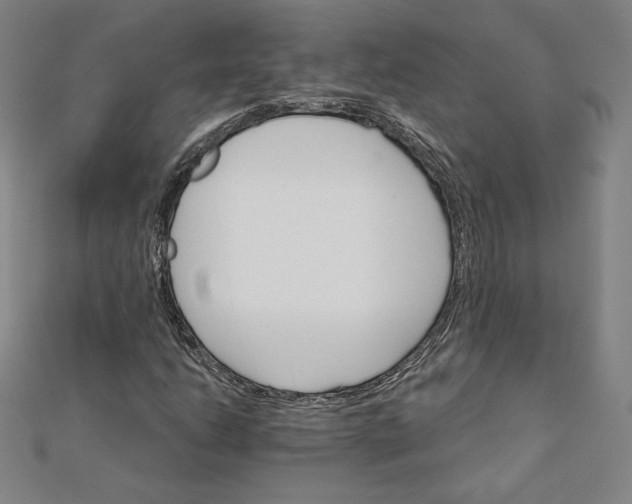 X0000111511206200908041215