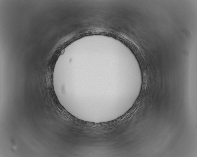X0000111511207200908041215
