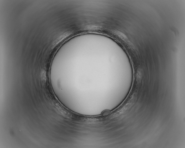 X0000111511209200908041215