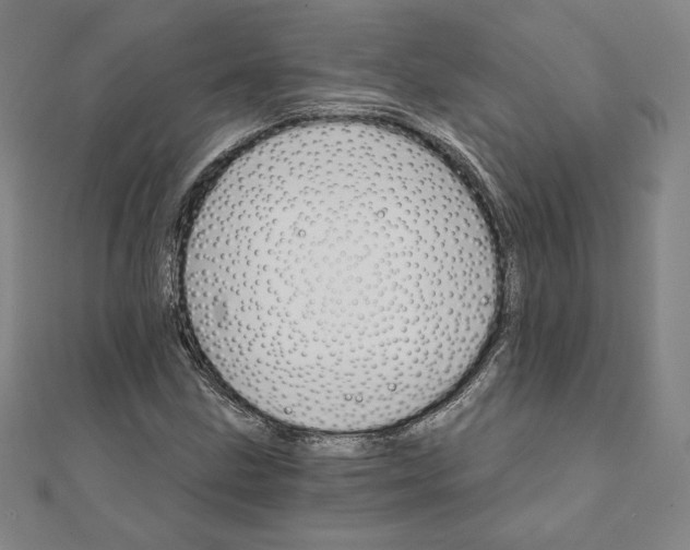 X0000111511211200908041215