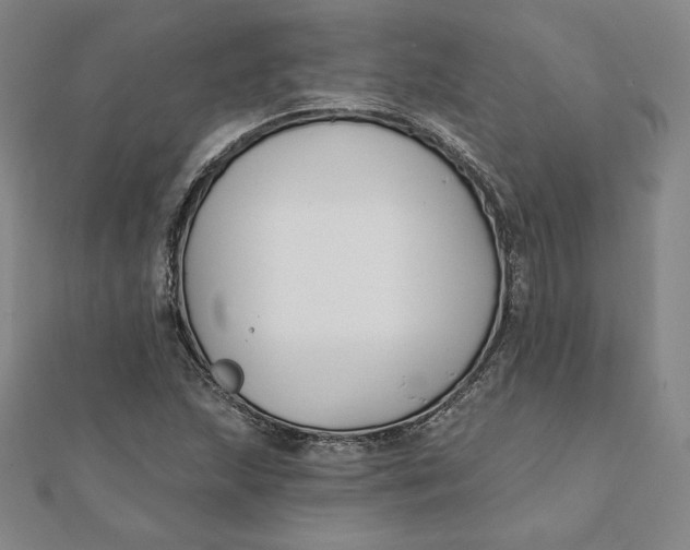 X0000111511215200908041215