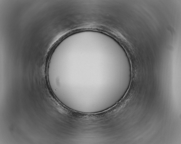 X0000111511216200908041215