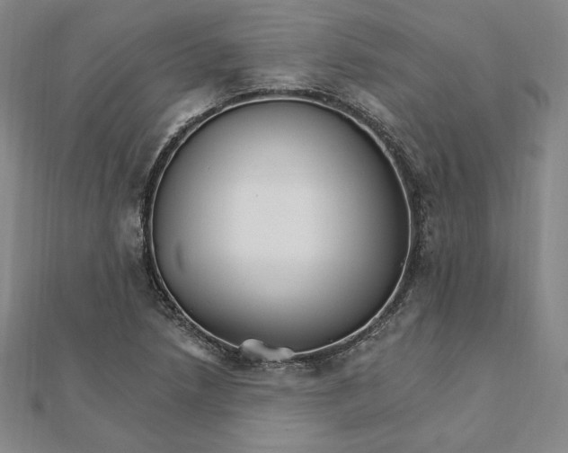 X0000111511218200908041215
