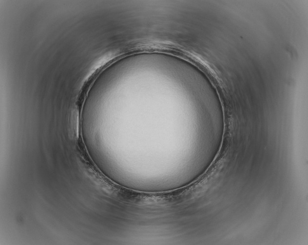X0000111511219200908041215