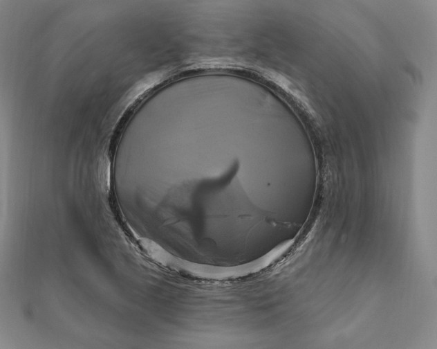 X0000111511221200908041215