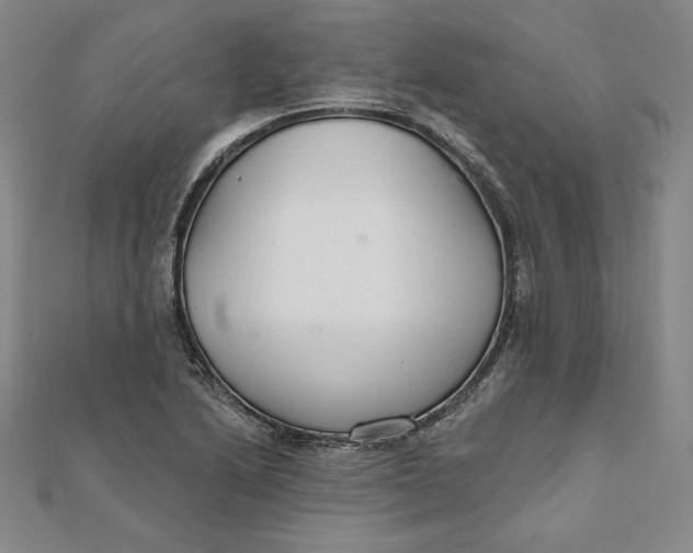 X0000111511222200908041215