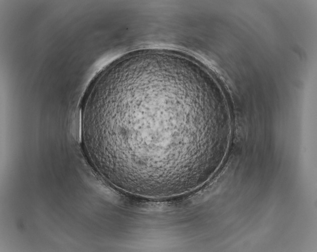 X0000111511223200908041215