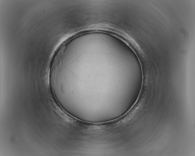 X0000111511224200908041215