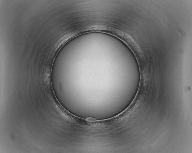 X0000111511225200908041215