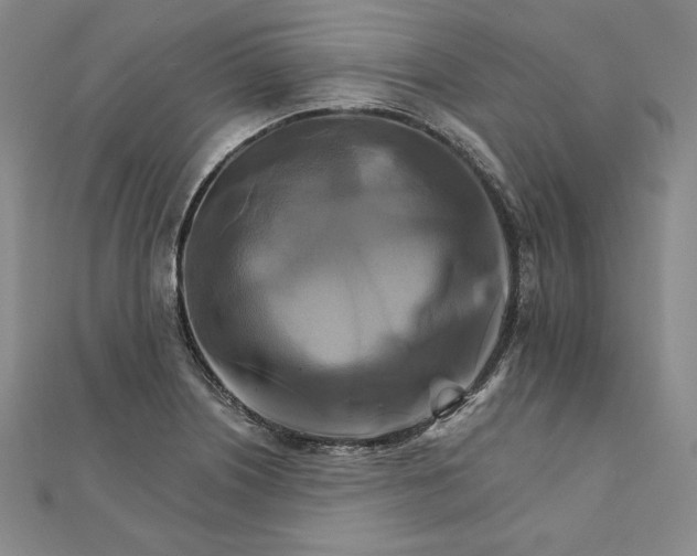 X0000111511226200908041215