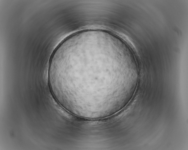 X0000111511228200908041215