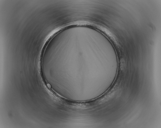 X0000111511229200908041215