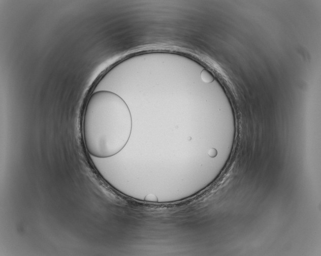 X0000111511230200908041215