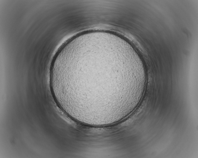 X0000111511232200908041216