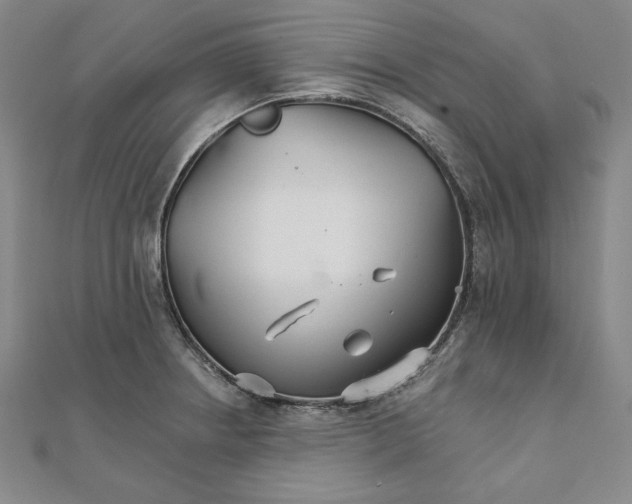 X0000111511234200908041216