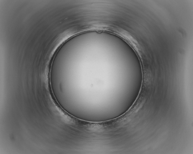 X0000111511235200908041216