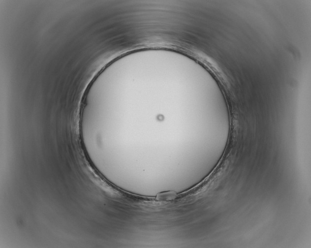 X0000111511236200908041216