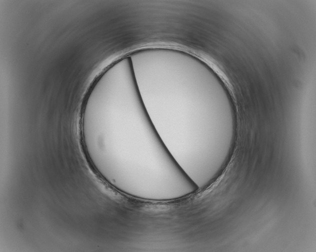 X0000111511237200908041216