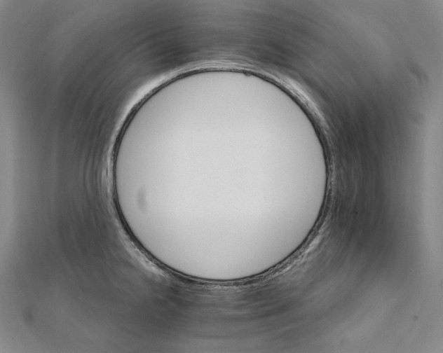 X0000111511238200908041216