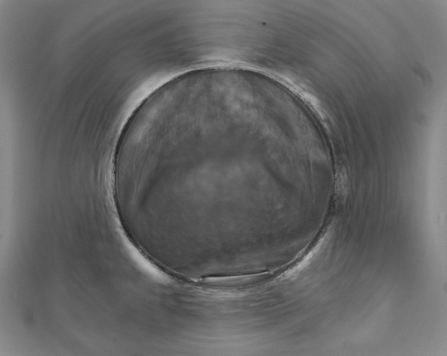 X0000111511239200908041216