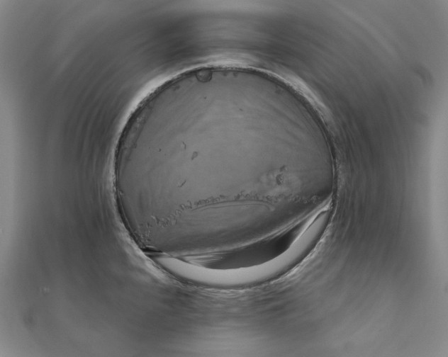 X0000111511240200908041216