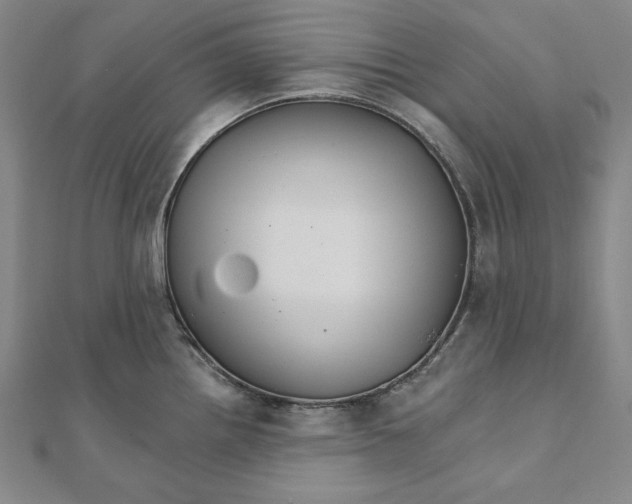 X0000111511242200908041216