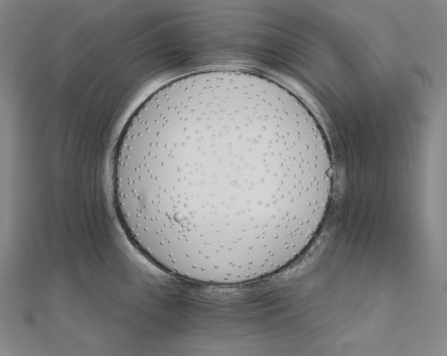 X0000111511243200908041216