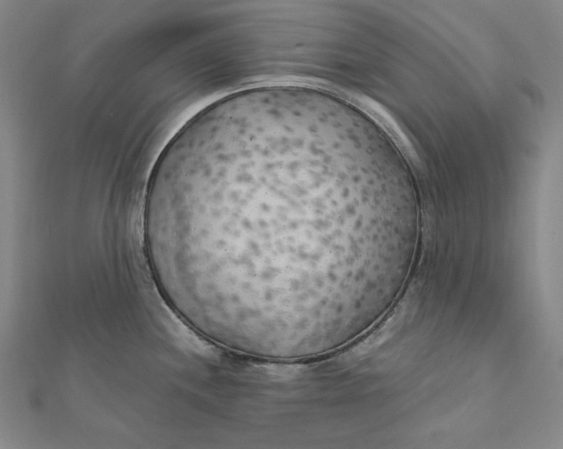 X0000111511244200908041216
