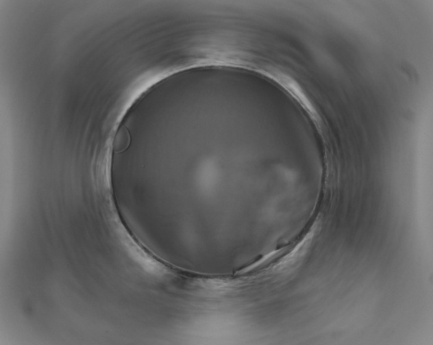 X0000111511246200908041216