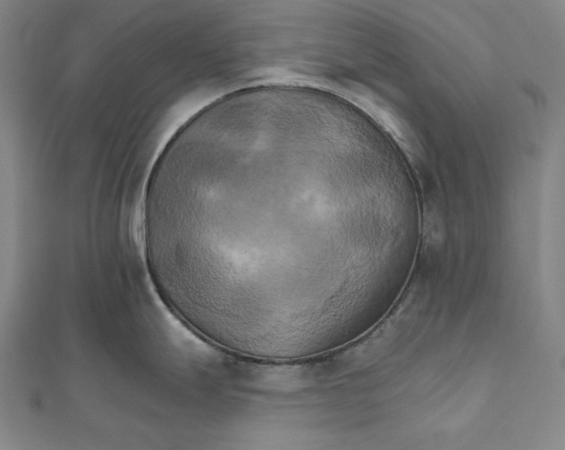 X0000111511247200908041216