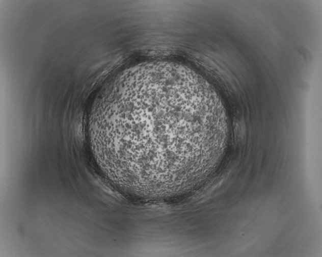 X0000111511250200908041215