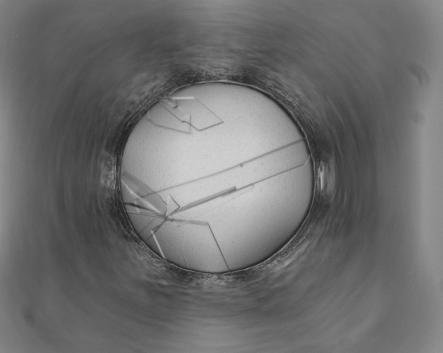 X0000111511251200908041215