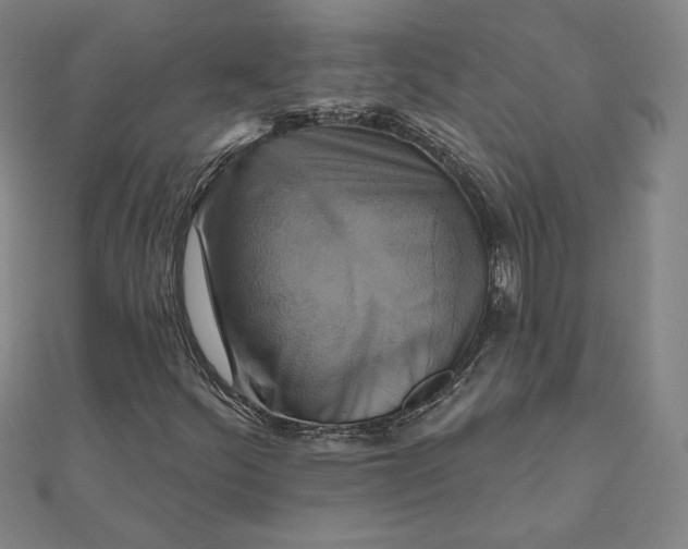 X0000111511252200908041215