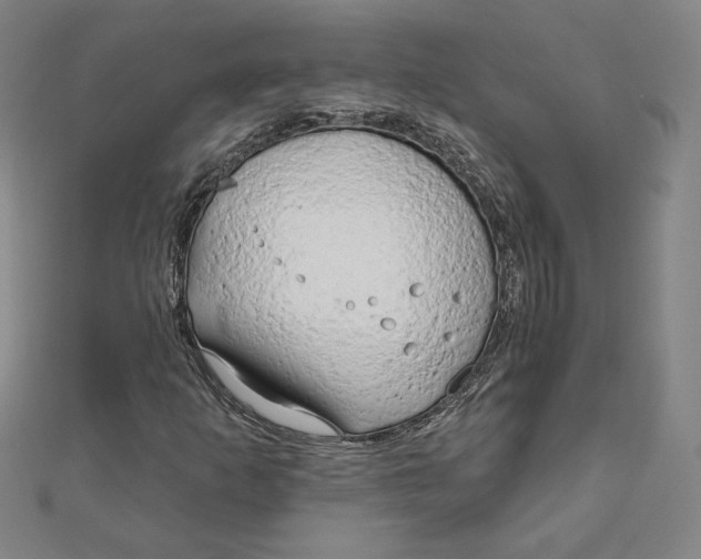 X0000111511253200908041215