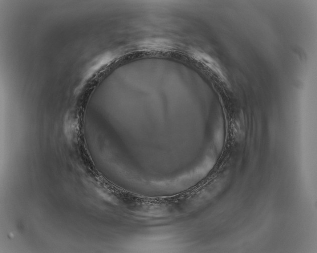 X0000111511254200908041215