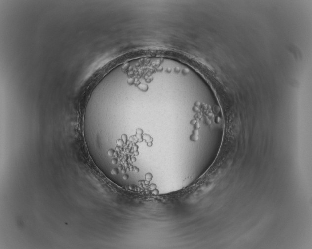 X0000111511255200908041215