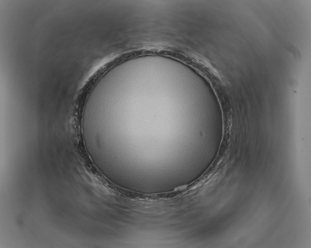 X0000111511256200908041215