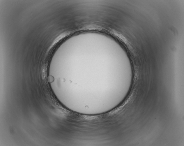 X0000111511258200908041215