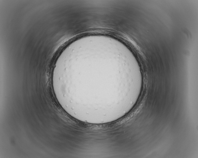 X0000111511259200908041215