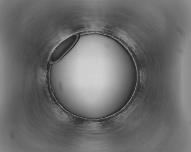 X0000111511260200908041215