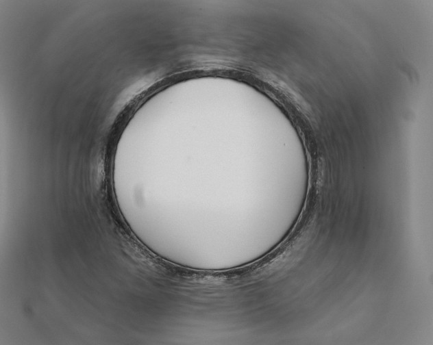 X0000111511261200908041215