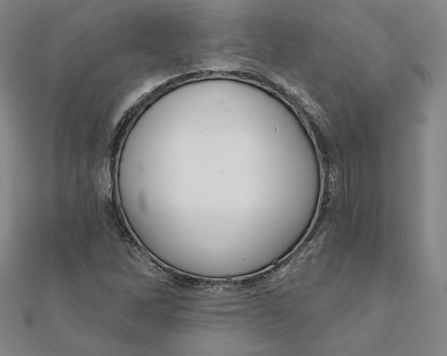 X0000111511262200908041215