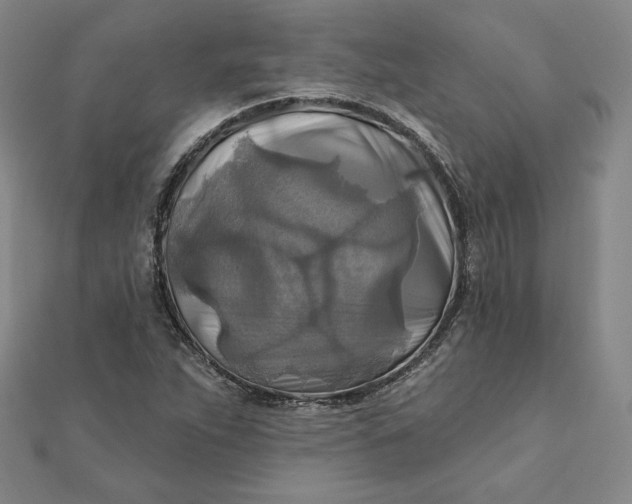 X0000111511263200908041215