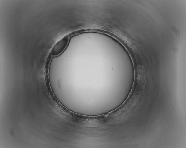 X0000111511264200908041215