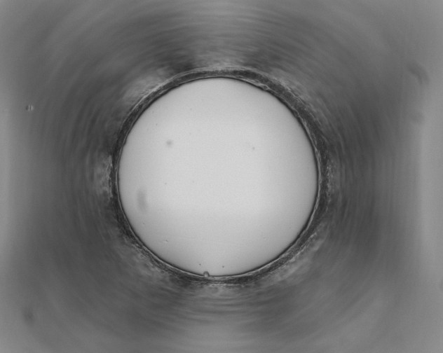 X0000111511265200908041215