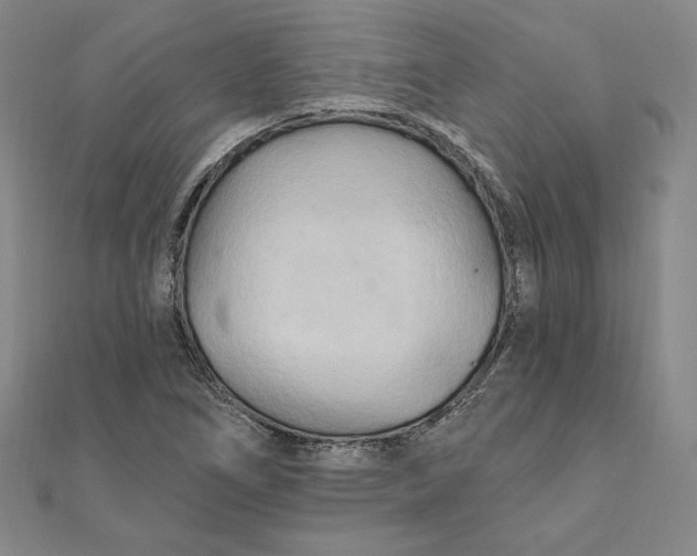 X0000111511266200908041215