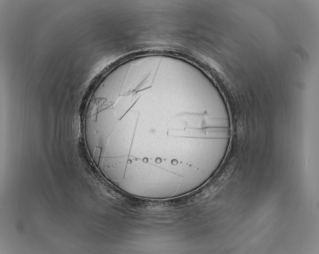 X0000111511267200908041215