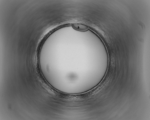 X0000111511270200908041215
