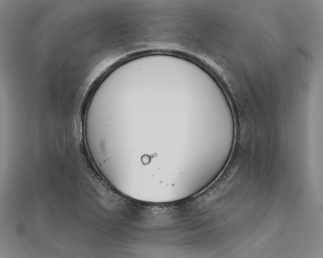 X0000111511271200908041215